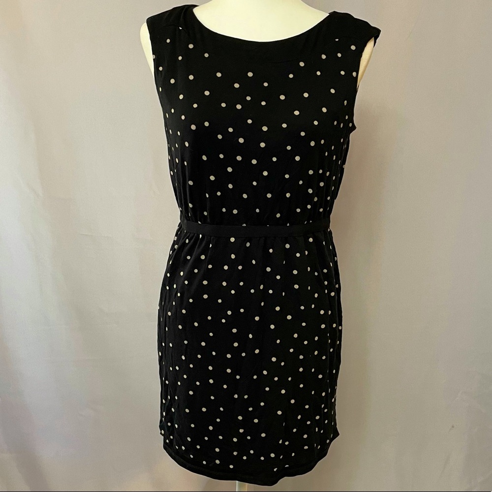 Ann Taylor Loft Polka Dot Dress